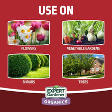 Expert-Gardener-Blood-Meal-Plant3-_4 - USA Mega Market