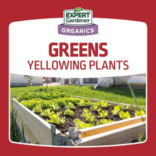 Expert-Gardener-Blood-Meal-Plant5-_6 - USA Mega Market