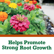 Expert-Gardener-Garden-Soil-for1_25b934c2-bacd-4573-97a0-45c3800be8a7 - USA Mega Market