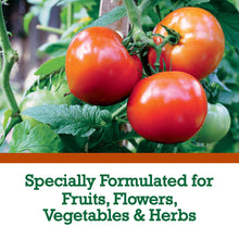 Expert-Gardener-Garden-Soil-for4_059392aa-5449-466f-8c1b-ad1b756cb5d8 - USA Mega Market