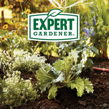 Expert-Gardener-Garden-Soil-for6_bb32ba58-15f3-4fe4-bda7-cea10a8f19c3 - USA Mega Market
