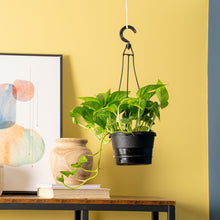 Expert-Gardener-Live-Indoor-Plan1 - USA Mega Market