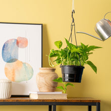Expert-Gardener-Live-Indoor-Plan2 - USA Mega Market