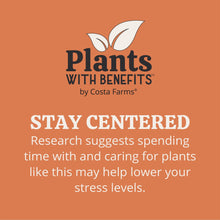 Expert-Gardener-Live-Indoor-Plan3 - USA Mega Market