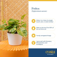 Expert-Gardener-Live-Indoor-Plan6 - USA Mega Market