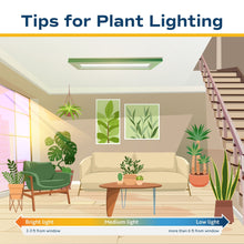 Expert-Gardener-Live-Indoor-Plan7 - USA Mega Market