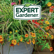 Expert-Gardener-Potting-Mix-for8_37326405-91bf-449e-86fc-bef621292b15 - USA Mega Market