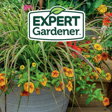 Expert Gardener Potting Mix for Potted Plants, Indoor and Outdoor Soil