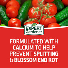 Expert-Gardener-Tomato-Vegetable4_d6528512-fb55-4b75-85be-54a976d23426 - USA Mega Market