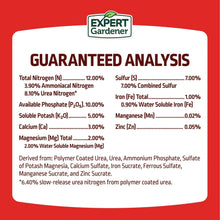 Expert-Gardener-Tomato-Vegetable7_25265127-5fbe-4673-8a61-0207125ab4ca - USA Mega Market