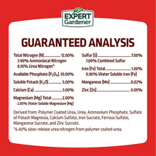 Expert Gardener Tomato & Vegetable Garden Plant Food Fertilizer, 12-10-5 Fertilizer
