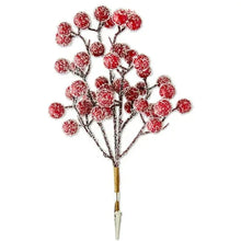 FLK-RED-BERRIES-CLIP_cf7a58bd-f0ad-45d8-8012-923560d41973.6eb7b707072d0257f41d28 - USA Mega Market