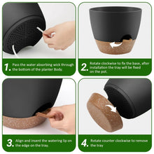 FOUKUS-Set-5-Self-Watering-Plant1_5b0aeb58-f493-4e1d-a234-59980ed8e05a - USA Mega Market
