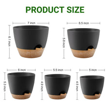 FOUKUS-Set-5-Self-Watering-Plant2_58f8ec8a-6028-4ebe-8fe0-f5d656d18ac8 - USA Mega Market