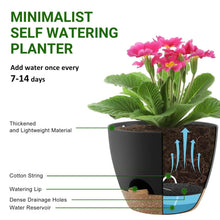 FOUKUS-Set-5-Self-Watering-Plant3_db8921bc-a65c-4edc-aeaa-e46ccb9f1f72 - USA Mega Market