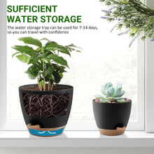 FOUKUS-Set-5-Self-Watering-Plant4_f8ebe941-47ab-4060-b509-c750e96fe012 - USA Mega Market
