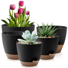 FOUKUS-Set-5-Self-Watering-Plant - USA Mega Market