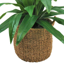 Faux42DracaenainHandwovenBoho-StyleBasket1-_3 - USA Mega Market