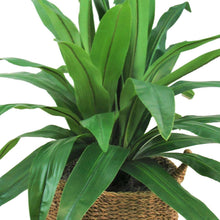 Faux42DracaenainHandwovenBoho-StyleBasket2-_2 - USA Mega Market