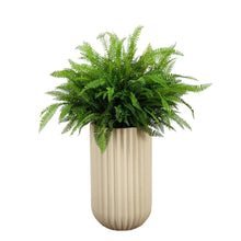Faux42FerninPlanter2-_3 - USA Mega Market