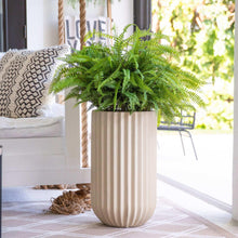 Faux42FerninPlanter4-_1 - USA Mega Market