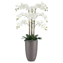 Faux 4’ Phalaenopsis Orchid