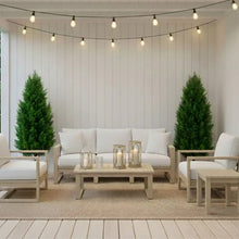 Faux4_UVResistantCedarTreeIndoorandOutdoor_2-pack4 - USA Mega Market