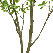 Faux6-5FicusTree3-_2 - USA Mega Market
