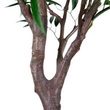Faux7-WillowTree1-_3_5a8e7416-df36-4eab-8a71-d992ef1a5b04 - USA Mega Market