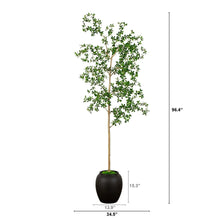 Faux8-QuinceTree3-_2_c84b303d-74ab-4ee1-87f6-cfe79be95d6c - USA Mega Market