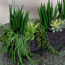 FauxSucculentArrangementinCementPlanter-_5 - USA Mega Market