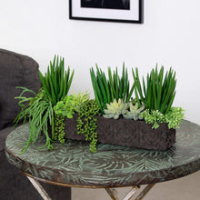 FauxSucculentArrangementinCementPlanter1-_4 - USA Mega Market