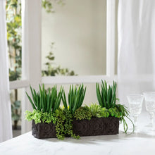 FauxSucculentArrangementinCementPlanter4_fe37c418-754e-48f0-a48c-362ecbc1b42f - USA Mega Market
