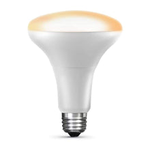 Feit-Smart-Home-BR30-E26-Medium-Smart-Enabled-LED-Bulb-White-65-Watt-Equivalence-1-pk_e841b4d4-3512-4b15-b022-d01d3cbd988c.56005805bd287cb495c1052ebac80049 - USA Mega Market