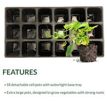 Ferry-Morse Reusable 18 Pot Seed Starting Plastic Tray