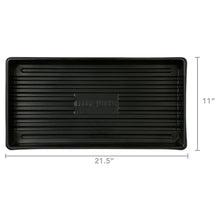 Ferry-Morse Durable Seed Starting Tray with Watertight Base, Reusable Plastic Design