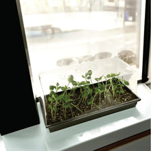 Ferry-Morse Durable Seed Starting Tray with Watertight Base, Reusable Plastic Design