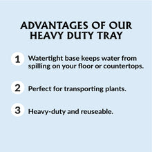 Ferry-Morse-Durable-Reusable-See4 - USA Mega Market