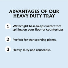 Ferry-Morse-Durable-Reusable-See4 - Brands For Less USA