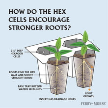 Ferry-Morse-Pro-Hex-Seed-Startin7 - USA Mega Market