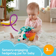Fisher-PriceCuddlen-SnuggleHedgehogNewbornPlushSensoryToywithSensoryDetailsforBabies1-_6 - USA Mega Market