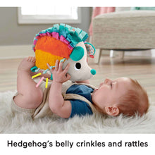 Fisher-PriceCuddlen-SnuggleHedgehogNewbornPlushSensoryToywithSensoryDetailsforBabies4-_3 - USA Mega Market