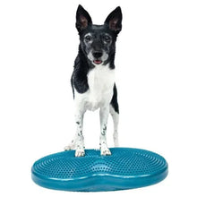 FitPawsK9FitBoneandDuoDiskInflatableBundle4 - USA Mega Market
