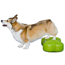 FitPawsK9FitBoneandDuoDiskInflatableBundle - USA Mega Market