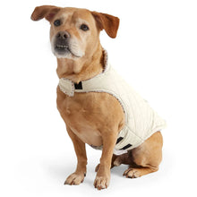 FreeCountrySherpaDogCoat5 - USA Mega Market