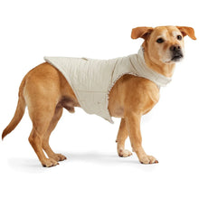 FreeCountrySherpaDogCoat6 - USA Mega Market