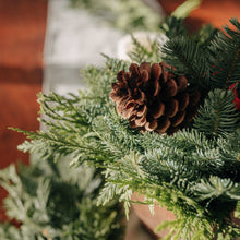 Fresh Northwest Greens Holiday Centerpiece
