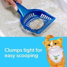 FreshStepClumpingLitterWithFebrezeFreshnessGainOriginalScent-42lbs-7-_3 - USA Mega Market