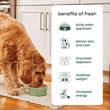 FreshpetSmallDogSmallBitesChickenRecipe-2lbs-packs-3ct-1-_8 - Brands For Less USA