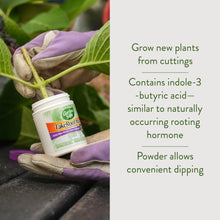 Garden Safe Take Root Rooting Hormone Powder, Grow New Plants from Cuttings, 2 Ounces